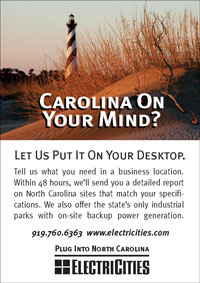Electricities Ad